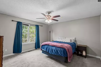 245 Jessica Drive, Lexington, SC 29073 - Photo 13