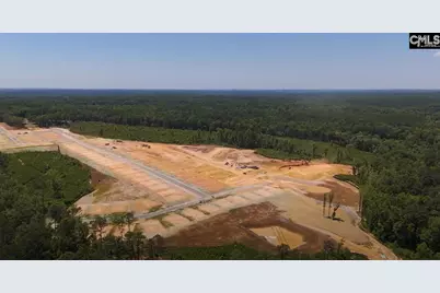 406 Leathertree Lane, Blythewood, SC 29016 - Photo 43