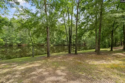 205 Soft Stone Drive, Blythewood, SC 29016 - Photo 3
