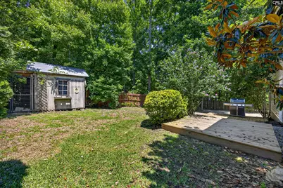224 Walkbridge Way, Chapin, SC 29036 - Photo 41
