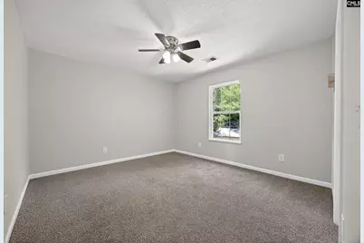 224 Walkbridge Way, Chapin, SC 29036 - Photo 33
