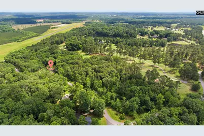 158 Persimmon Drive, Saluda, SC 29138 - Photo 41