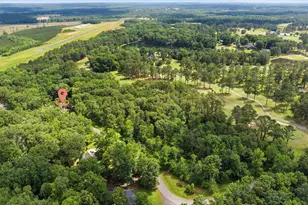 158 Persimmon Dr, Saluda, SC 29138 - Photo 41