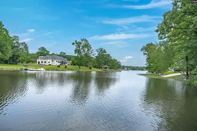 109 Sunsation Drive, Chapin, SC 29036 - Photo 45