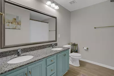 109 Sunsation Drive, Chapin, SC 29036 - Photo 33