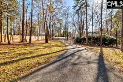 2016 Amicks Ferry Road, Chapin, SC 29036 - Photo 7