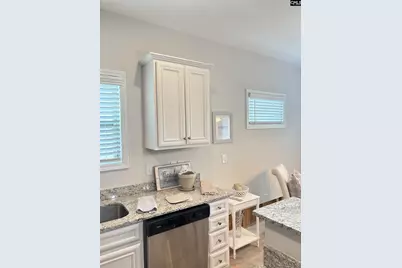 154 Wahoo Circle, Irmo, SC 29063 - Photo 41