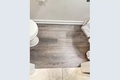 154 Wahoo Circle, Irmo, SC 29063 - Photo 21