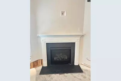 154 Wahoo Circle, Irmo, SC 29063 - Photo 39