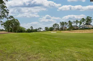 134 Backspin Dr, Elgin, SC 29045 - Photo 53