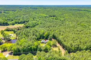 1149 Sherrill Lever Rd, Blythewood, SC 29016 - Photo 59