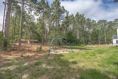 129 Lord and Tucker Court, Lexington, SC 29073 - Photo 45