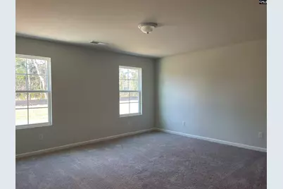 317 Windfall Road, Blythewood, SC 29016 - Photo 9