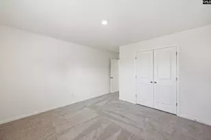 550 Griffon Dr, Chapin, SC 29036 - Photo 19