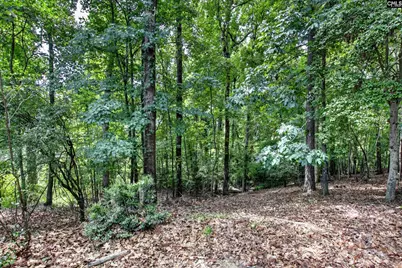 113 Athena Lane, Lexington, SC 29072 - Photo 7