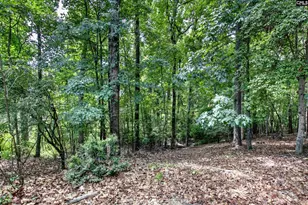 113 Athena Ln, Lexington, SC 29072 - Photo 7