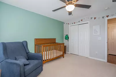 107 Elm Creek Drive, Chapin, SC 29036 - Photo 23