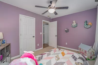 107 Elm Creek Drive, Chapin, SC 29036 - Photo 25