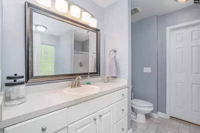 107 Elm Creek Drive, Chapin, SC 29036 - Photo 19
