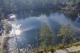 101 Moolah Dr, Columbia, SC 29223 - Photo 11