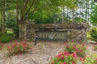 101 Spring Point Drive, Columbia, SC 29229 - Photo 47