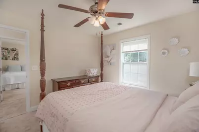 133 Palm St, Chapin, SC 29036 - Photo 21