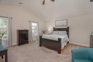 133 Palm St, Chapin, SC 29036 - Photo 27