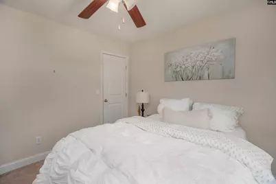 133 Palm St, Chapin, SC 29036 - Photo 25