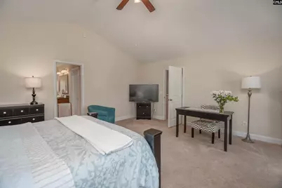 133 Palm St, Chapin, SC 29036 - Photo 29