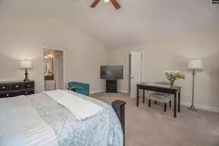 133 Palm St, Chapin, SC 29036 - Photo 29