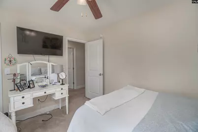 133 Palm St, Chapin, SC 29036 - Photo 19