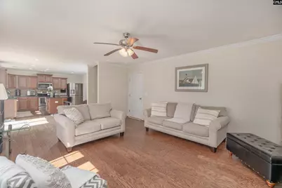 133 Palm St, Chapin, SC 29036 - Photo 17