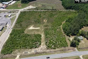 7376 Savannah Hwy, Neeses, SC 29107 - Photo 1
