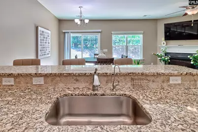 722 Pebblebranch Lane, Blythewood, SC 29016 - Photo 9