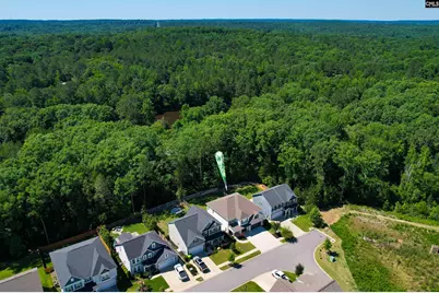 454 Malachite Lane, Chapin, SC 29036 - Photo 11