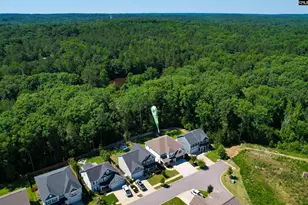 454 Malachite Ln, Chapin, SC 29036 - Photo 11