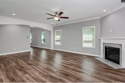 454 Malachite Lane, Chapin, SC 29036 - Photo 17