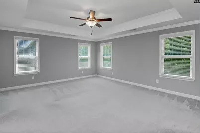 454 Malachite Lane, Chapin, SC 29036 - Photo 35