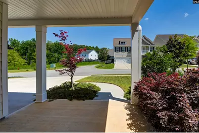 454 Malachite Lane, Chapin, SC 29036 - Photo 13