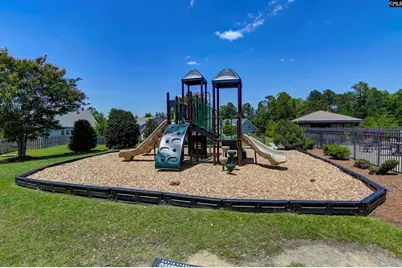 454 Malachite Lane, Chapin, SC 29036 - Photo 65