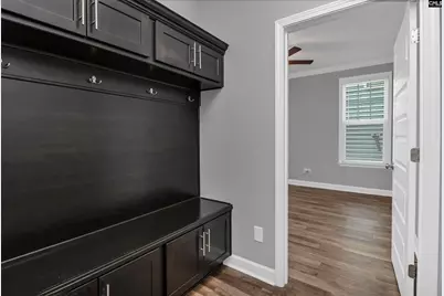 454 Malachite Lane, Chapin, SC 29036 - Photo 33