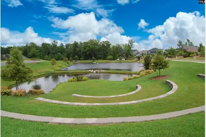 454 Malachite Lane, Chapin, SC 29036 - Photo 69