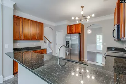 138 Fresh Spring Way, Lexington, SC 29072 - Photo 9