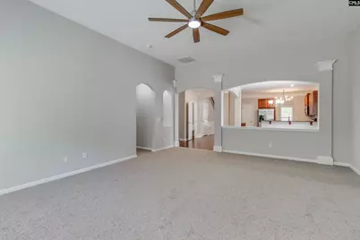 138 Fresh Spring Way, Lexington, SC 29072 - Photo 7