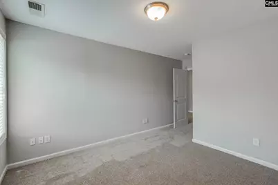 138 Fresh Spring Way, Lexington, SC 29072 - Photo 21