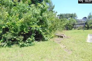 392 Blythe Creek Dr, Blythewood, SC 29016 - Photo 25