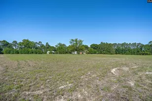 941 Old Charleston Rd, Pelion, SC 29123 - Photo 19