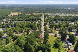 3027 Bachman Rd, Gaston, SC 29053 - Photo 23
