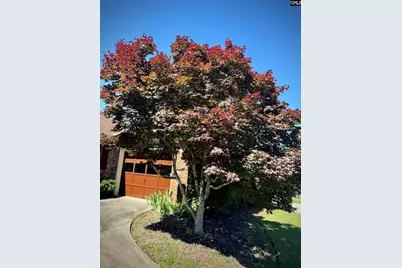 208 Patio Place, Columbia, SC 29212 - Photo 35