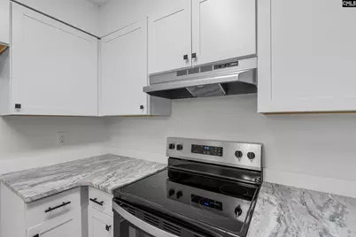 1 Pioneers Point Court, Irmo, SC 29063 - Photo 15